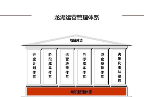 龙湖企业管理与运营精细化管理策略探析